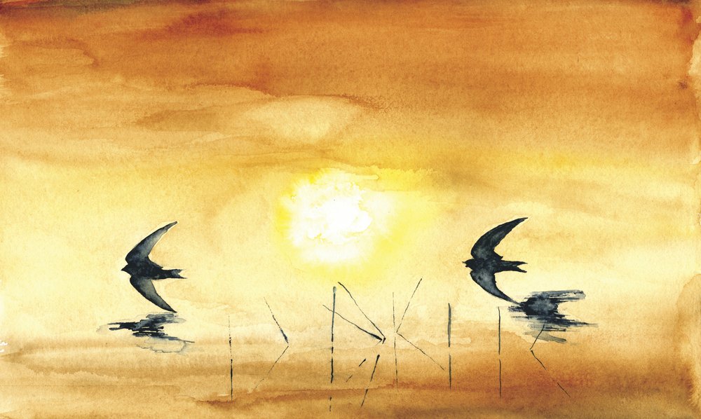 Golden Hour Birds by RodMacIver