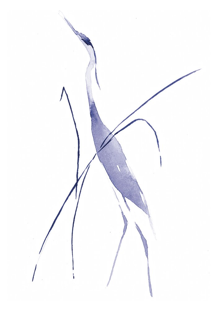 Graceful Blue Heron by RodMacIver