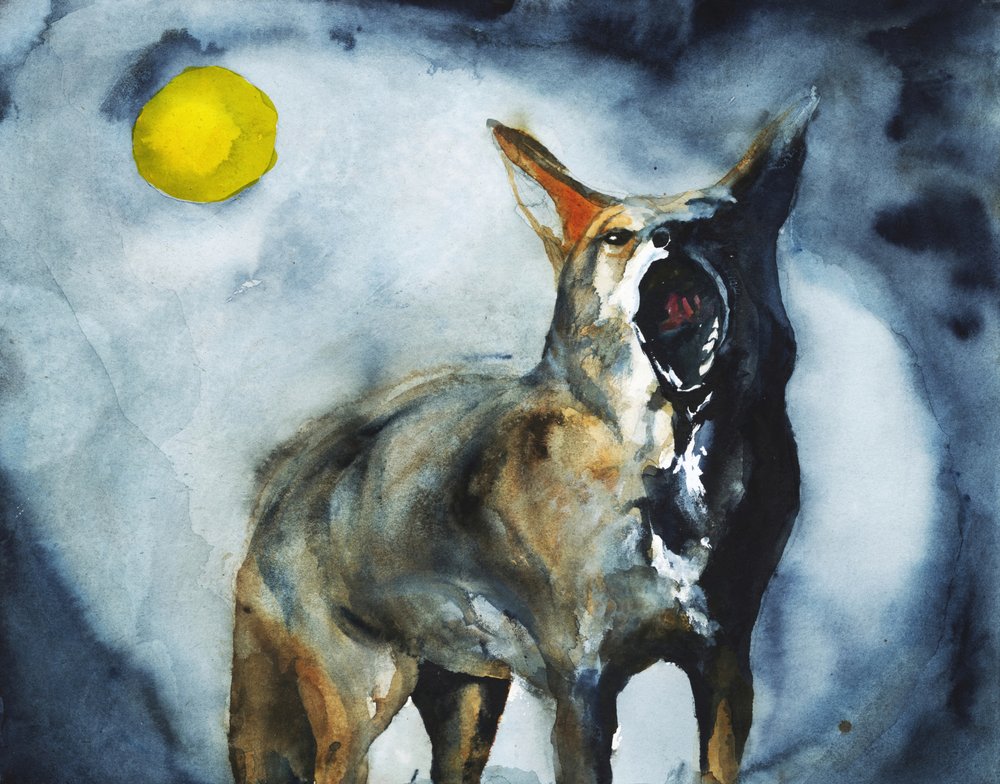 Howling Coyote Moon by RodMacIver
