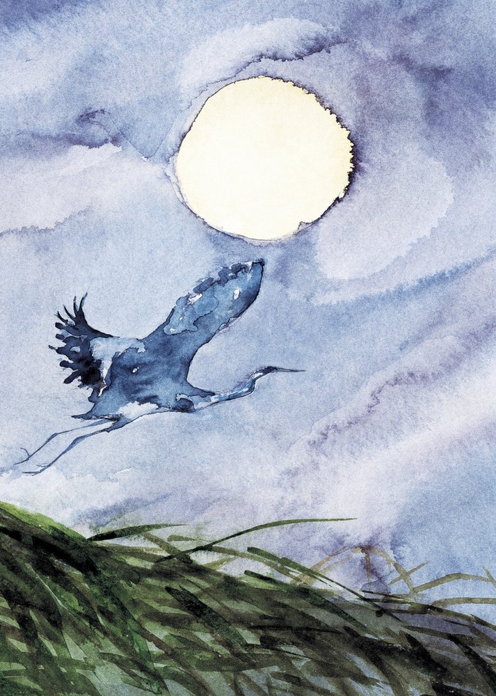 Moonlit Heron Flight by RodMacIver