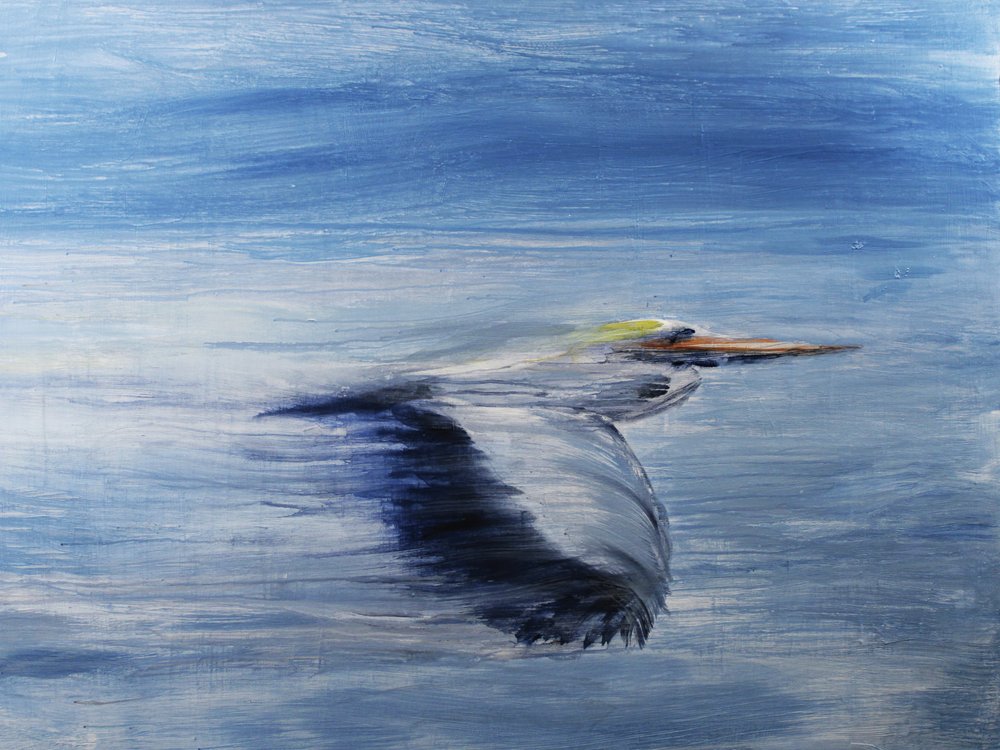 Serene Bird Flight by RodMacIver