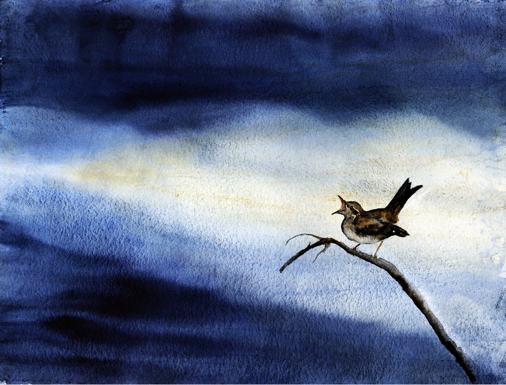 Singing Bird Dark Sky by RodMacIver