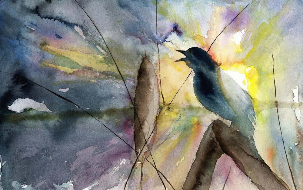 Singing Bird Sunrise by RodMacIver
