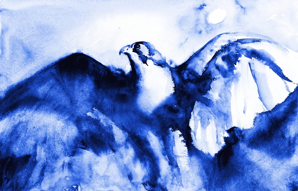 Soaring Blue Falcon by RodMacIver
