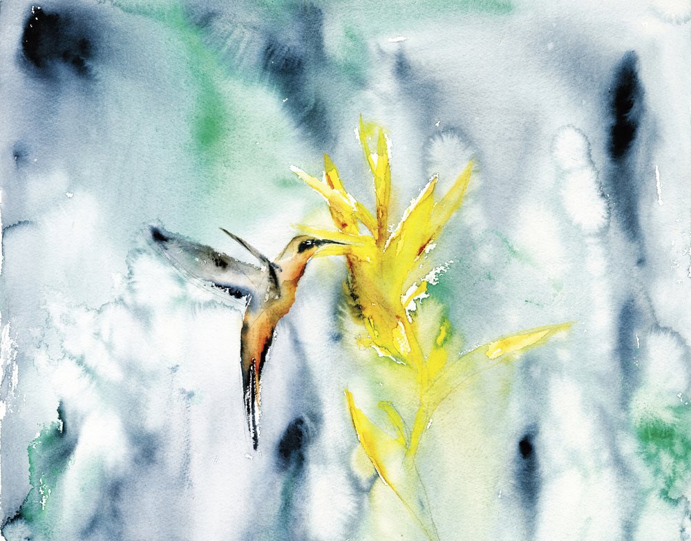 Vibrant Hummingbird Bloom by RodMacIver