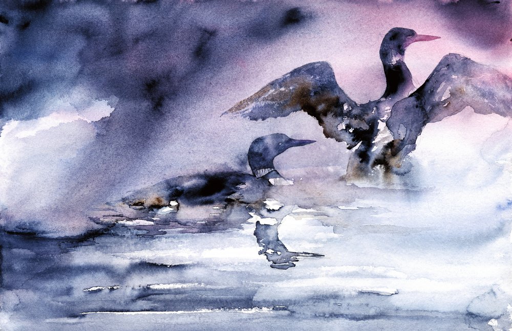 Water Birds at Dusk by RodMacIver