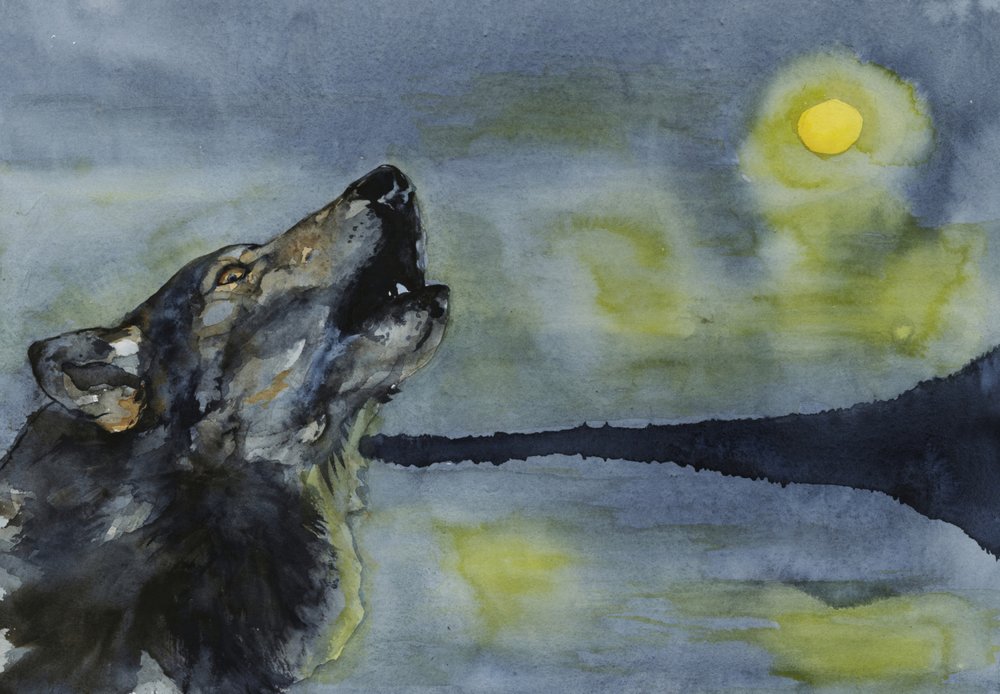 Wolf Howling at Moon by RodMacIver