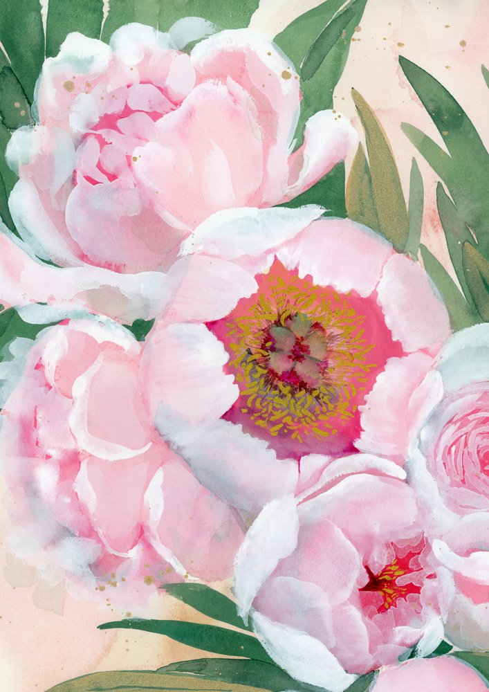 Pink Peony Blooms by Rosana Laiz Blursbyai