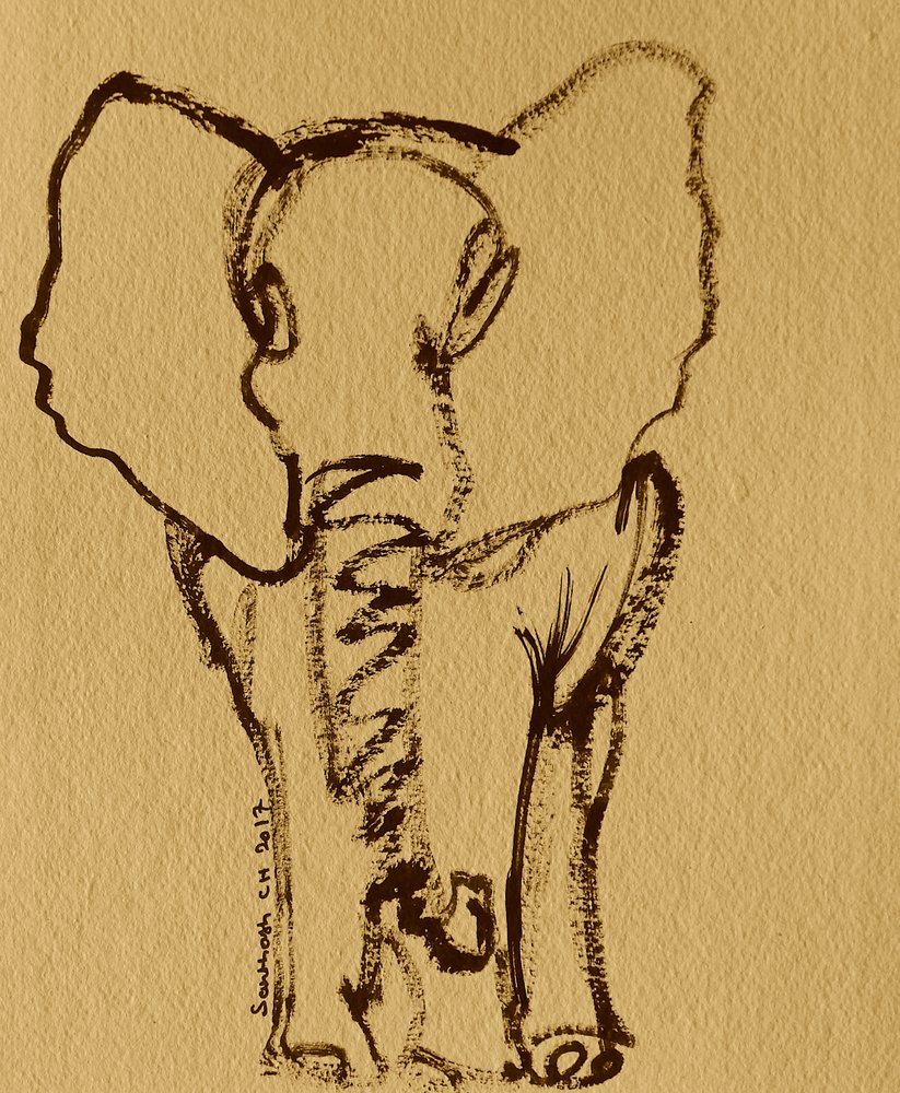 Baby Elephant Sketch by Santhosh ch