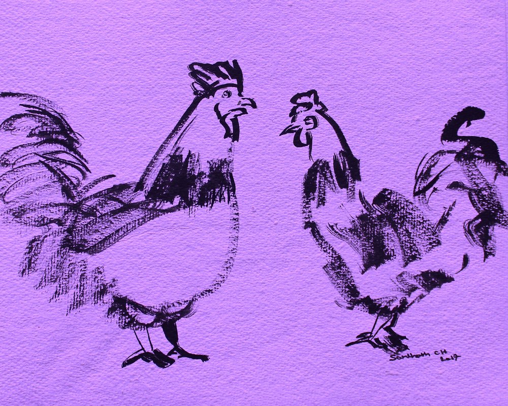 Bold Roosters Sketch by Santhosh ch