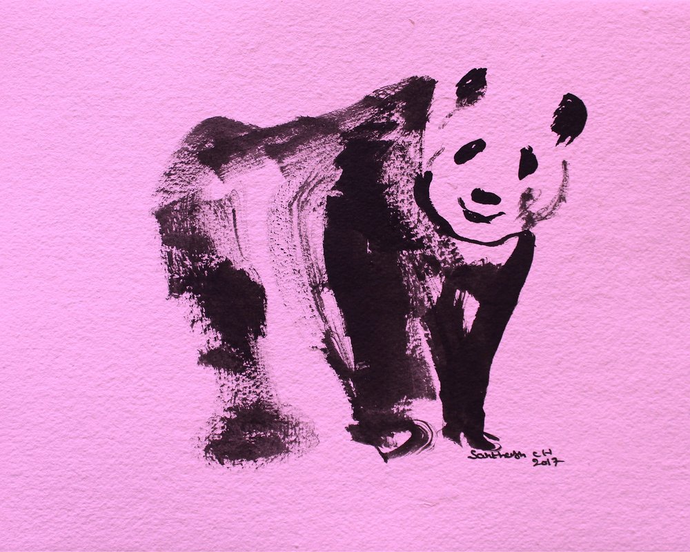 Cute Pink Panda by Santhosh ch