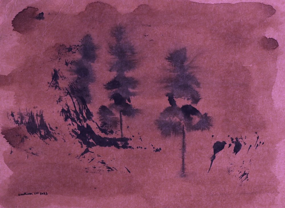 Dark Forest Landscape by Santhosh ch