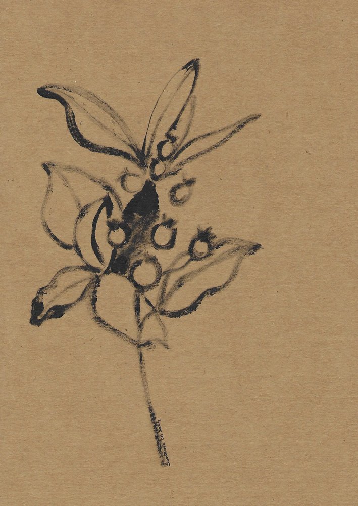 Earthy Botanical Illustration by Santhosh ch