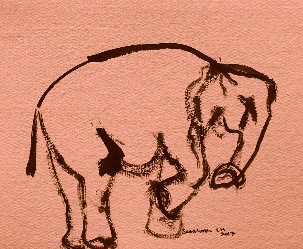 Elephant Ink Sketch by Santhosh ch