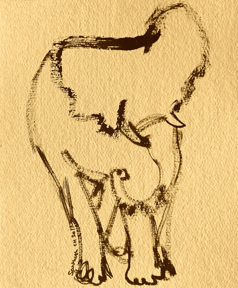 Expressive Elephant Drawing by Santhosh ch