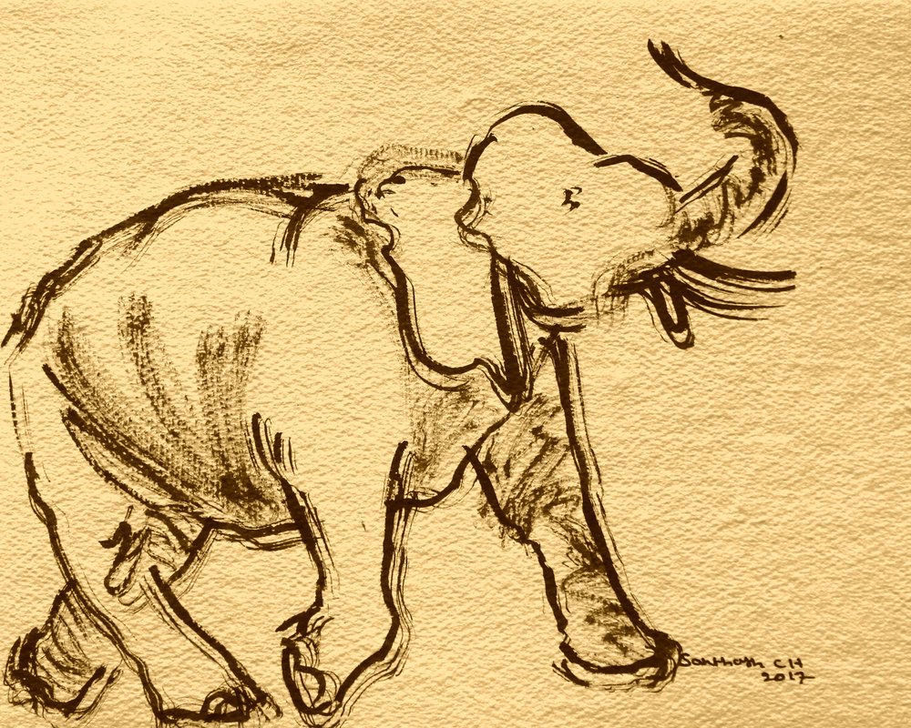Expressive Elephant Sketch by Santhosh ch