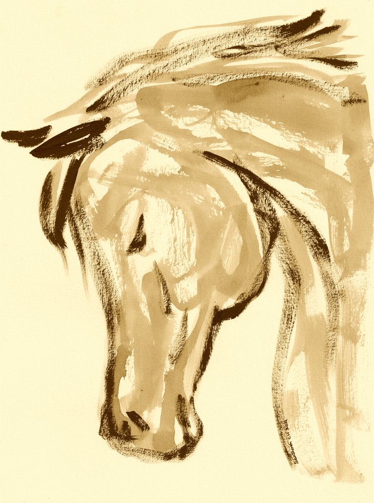 Flowing Equine Spirit by Santhosh ch