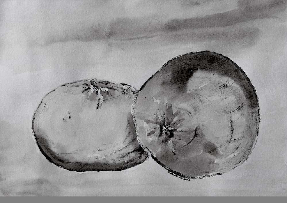 Monochrome Citrus Halves by Santhosh ch