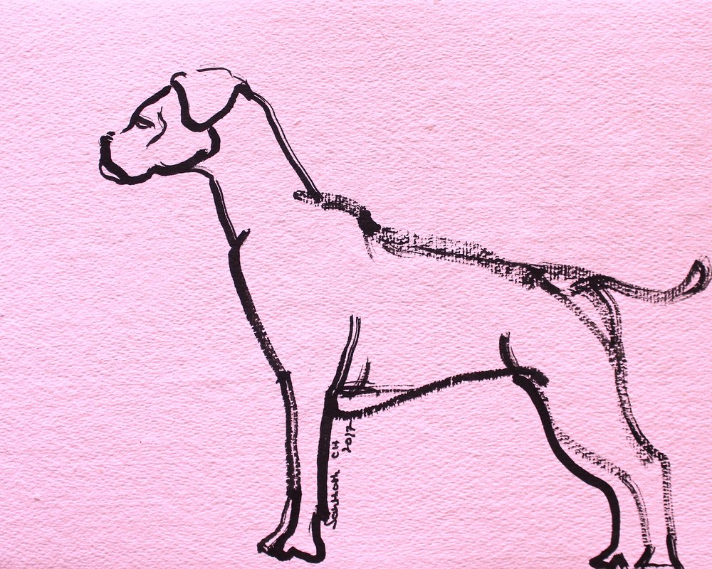 Pink Boxer Line Art by Santhosh ch