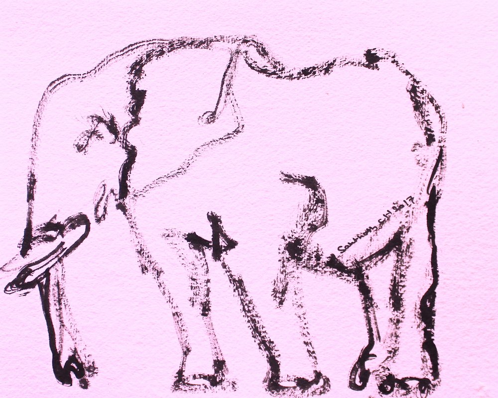 Pink Elephant Sketch by Santhosh ch