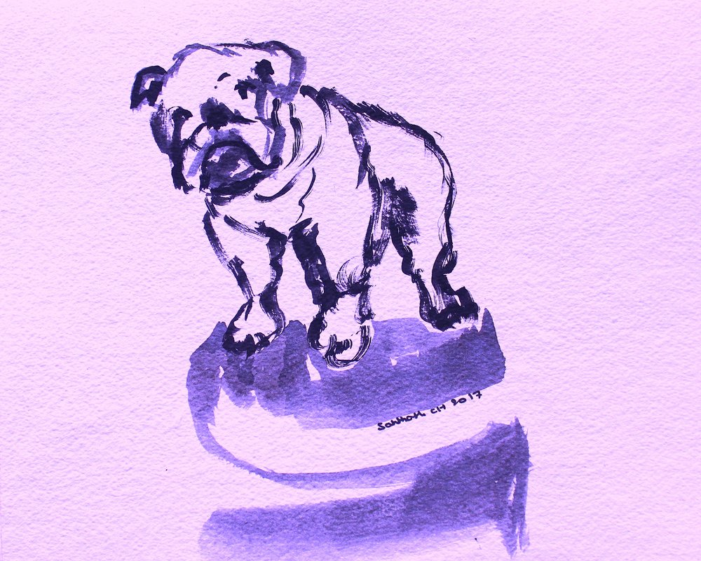 Purple Bulldog Sketch by Santhosh ch
