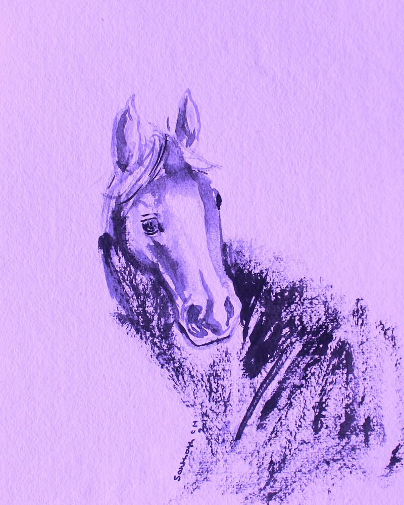 Purple Horse Portrait by Santhosh ch