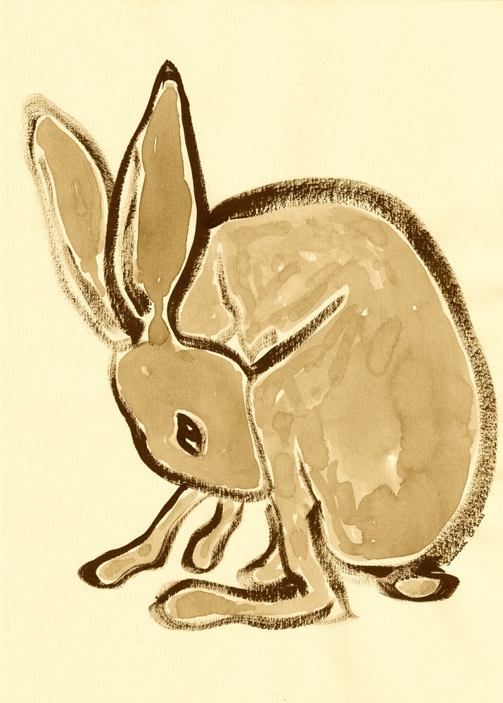 Quiet Woodland Rabbit by Santhosh ch
