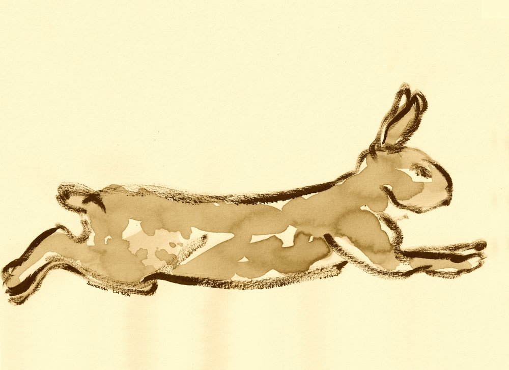 Running Rabbit Sketch by Santhosh ch