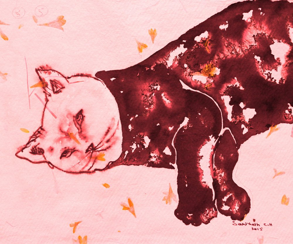 Sleeping Red Cat by Santhosh ch