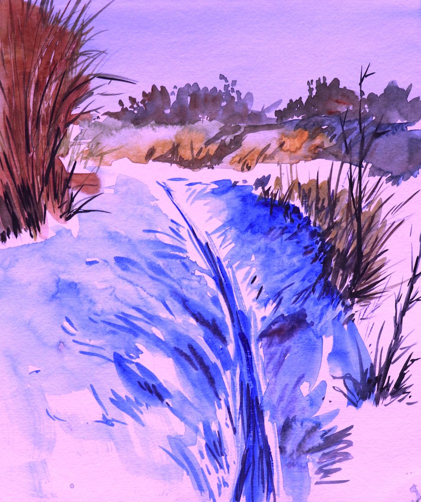 Snowy Winter Stream by Santhosh ch