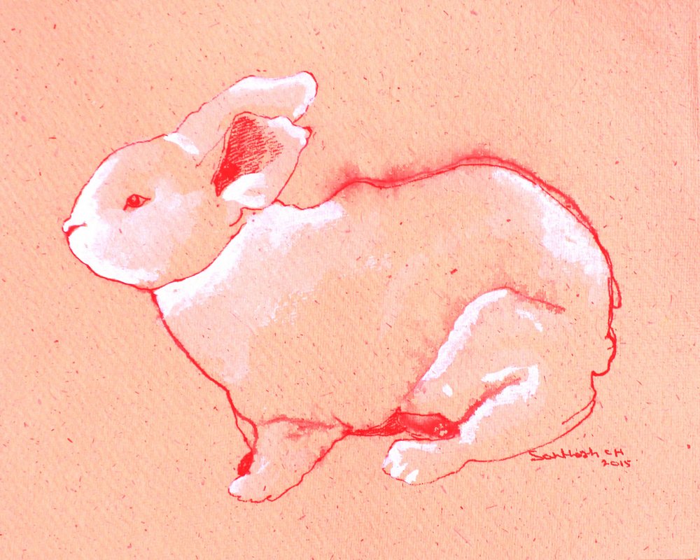 Sweet Little Rabbit by Santhosh ch