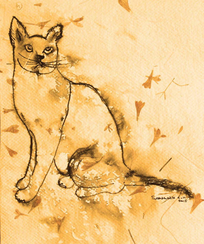 Thoughtful Sepia Cat by Santhosh ch