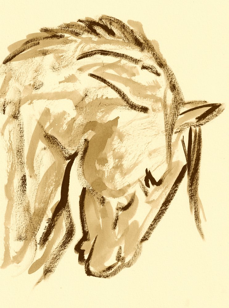 Wild Horse Sketch by Santhosh ch