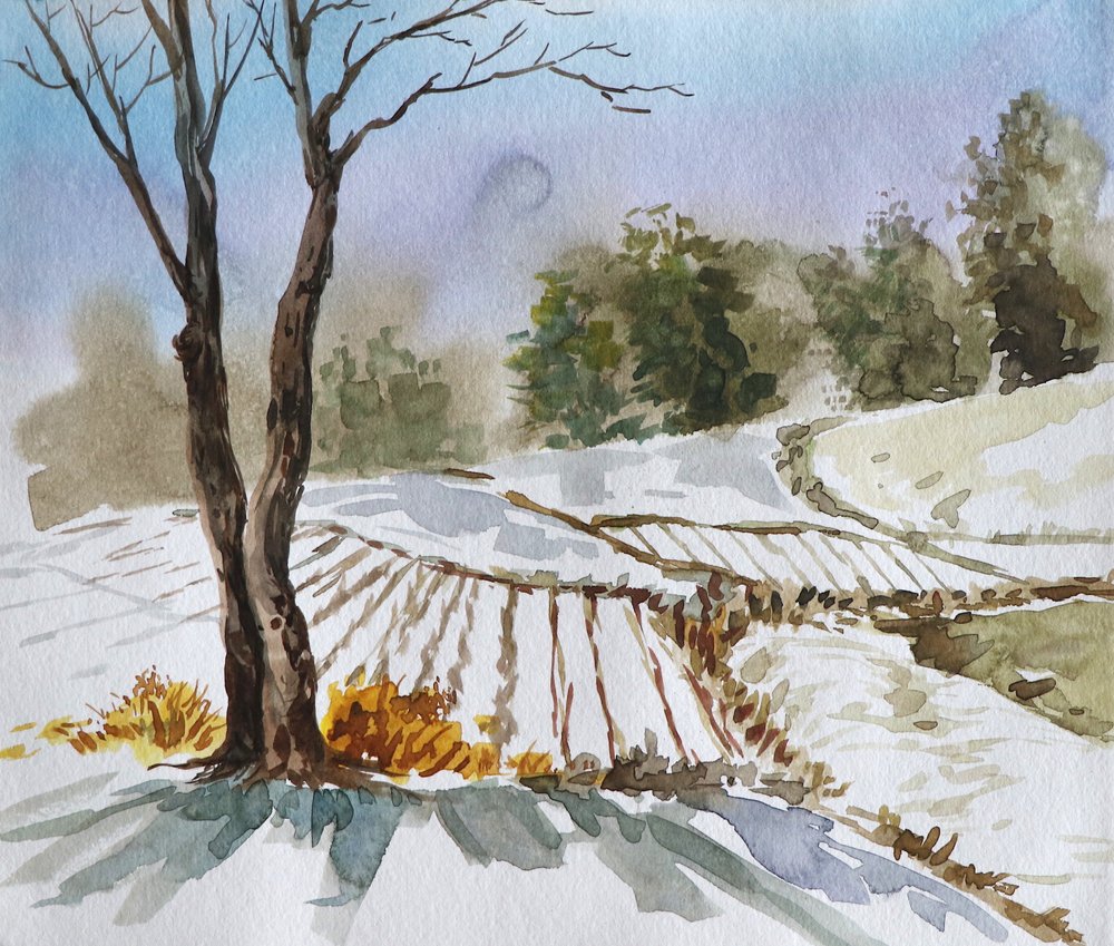 Winter Field Landscape by Santhosh ch