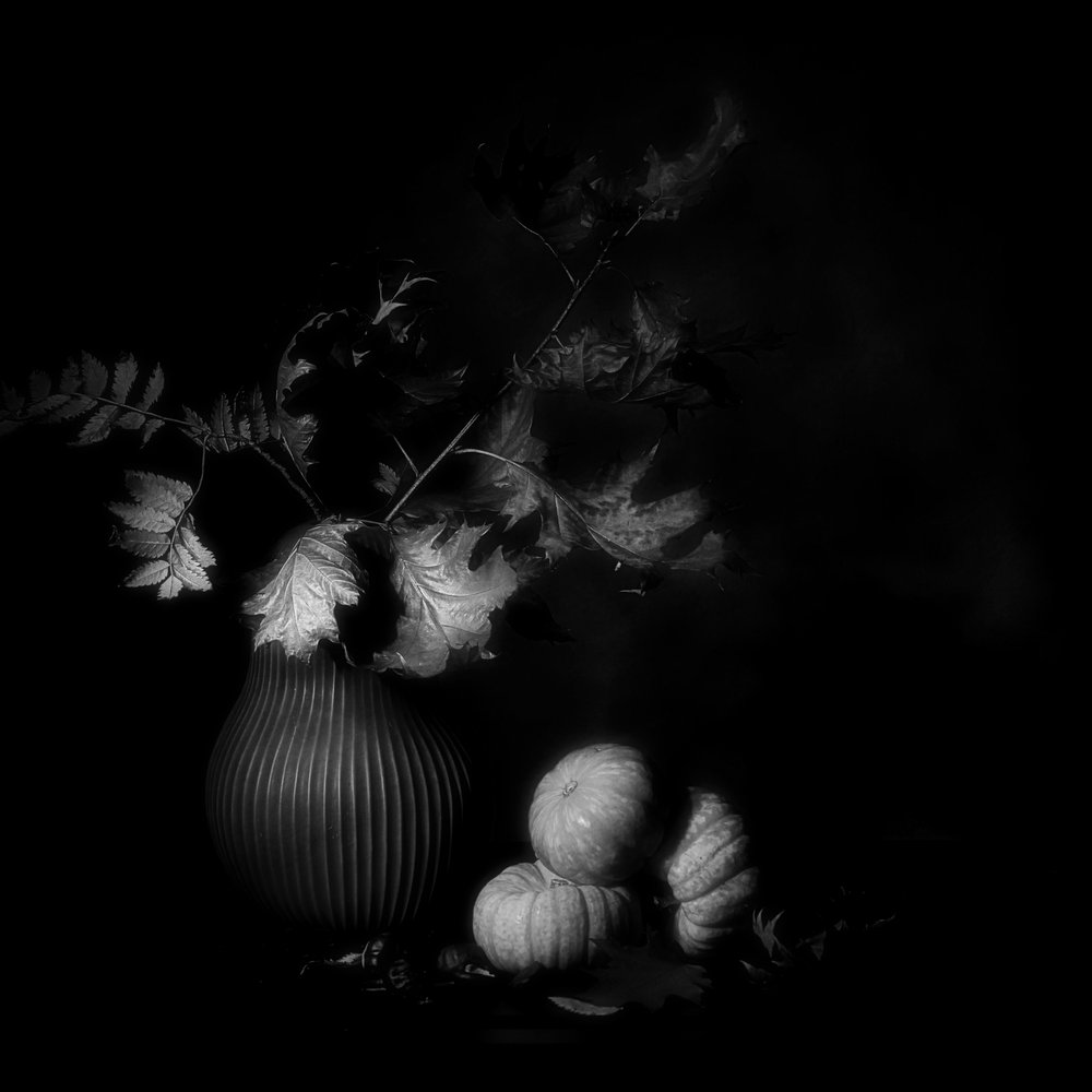 Dark Autumn Still Life by Saskia Dingemans
