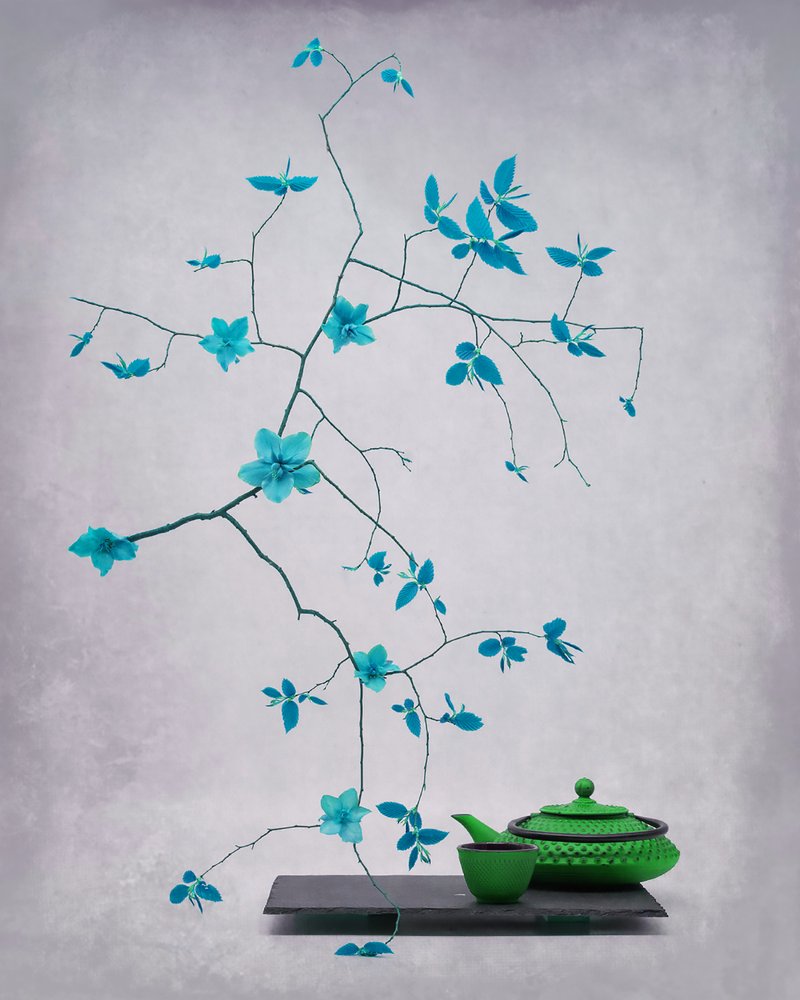 Serene Botanical Tea Set by Saskia Dingemans