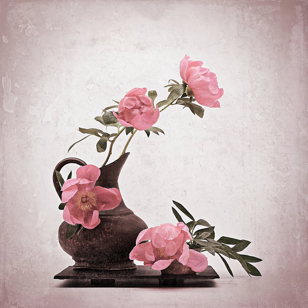 Soft Pink Peonies by Saskia Dingemans