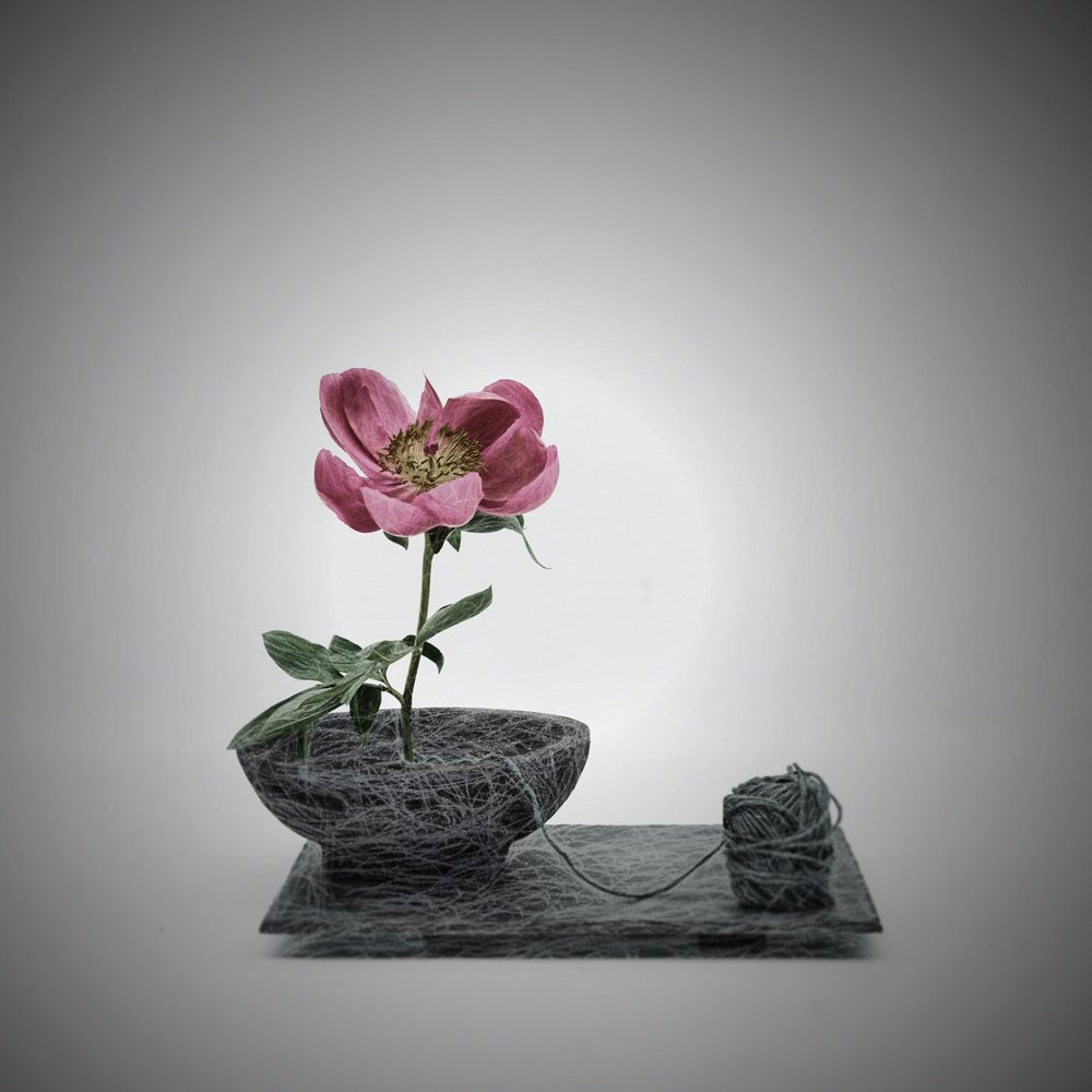 Threaded Pink Blossom Scene by Saskia Dingemans