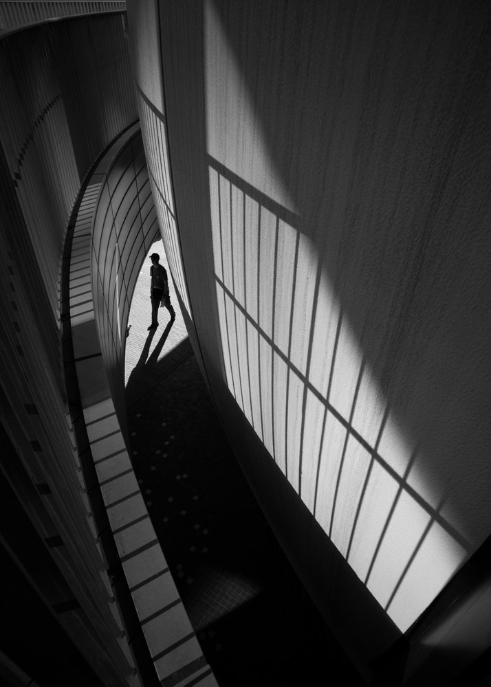 Solitary Shadow Walk by Satoshi Hata