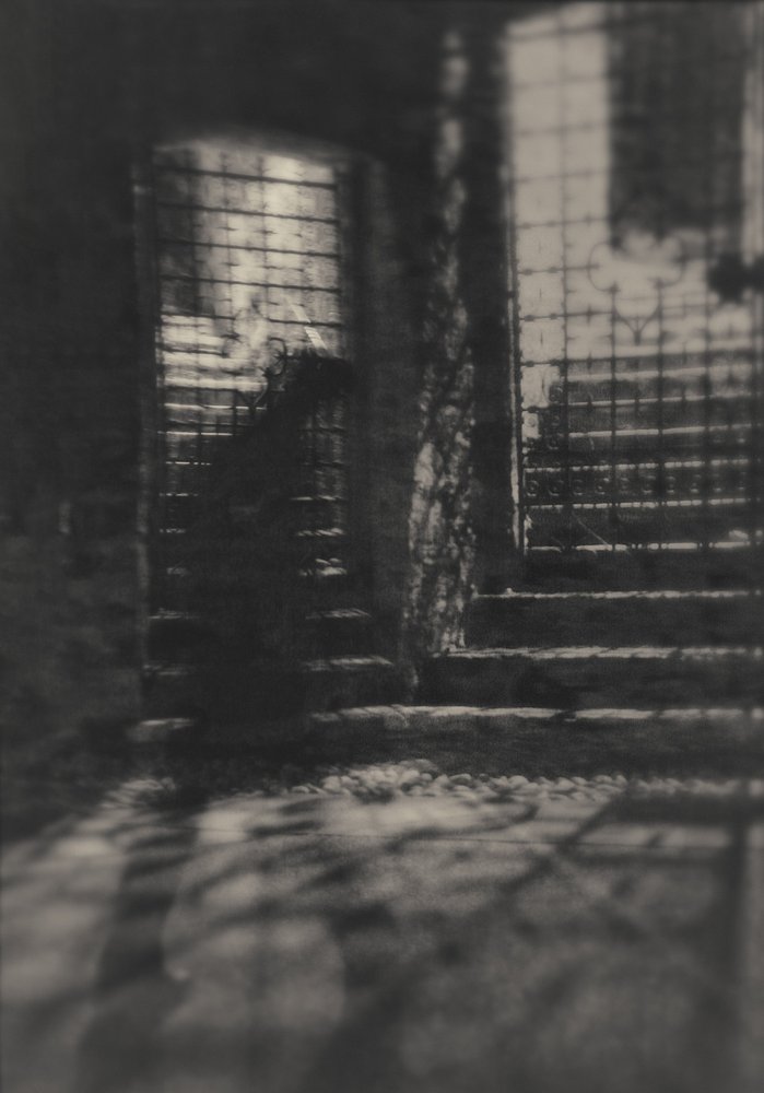Mysterious Gated Stairs by Sheila Bernard