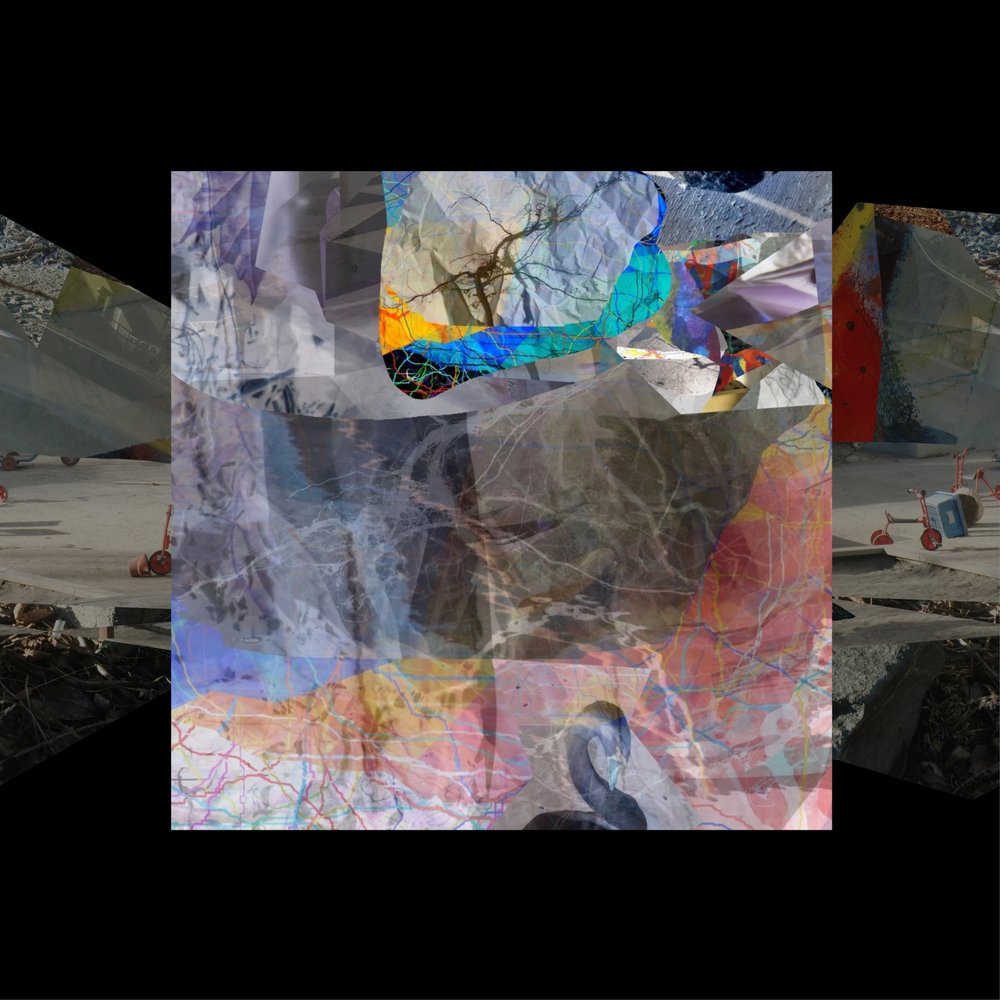 Abstract Swan Collage by Stefan Fransson