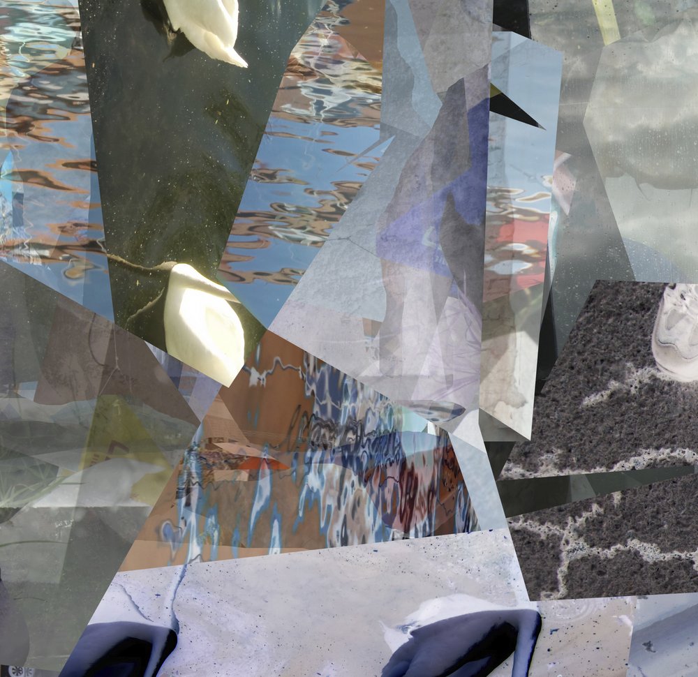 Fragmented Water Swans by Stefan Fransson