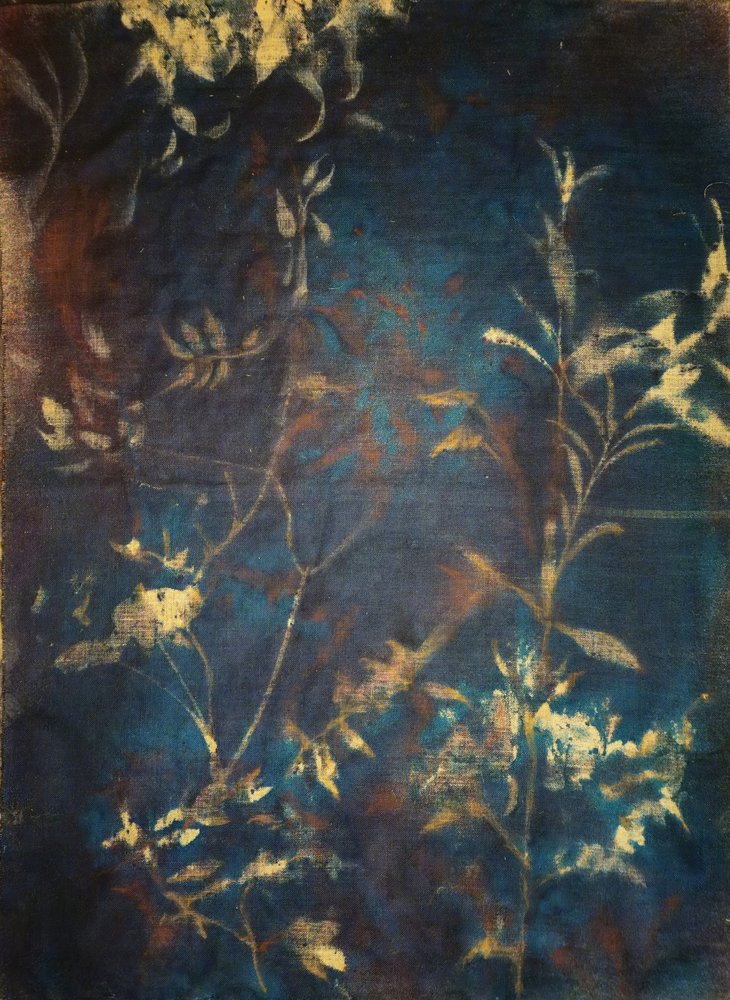 Deep Blue Botanicals by Stefano Mazzolini