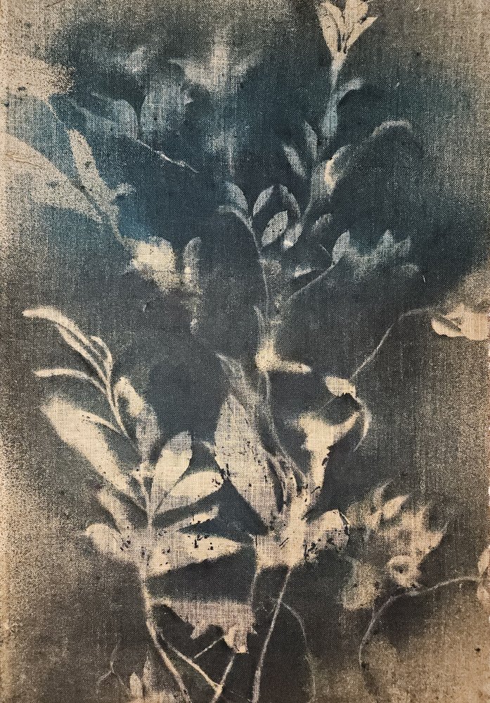 Ethereal Blue Botanicals by Stefano Mazzolini