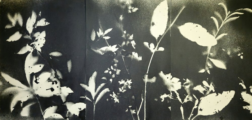 Ethereal Botanical Silhouettes by Stefano Mazzolini