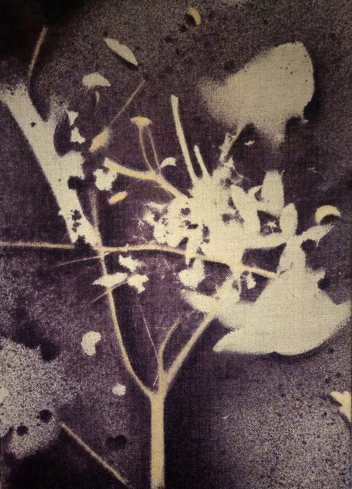 Purple Botanical Silhouette by Stefano Mazzolini