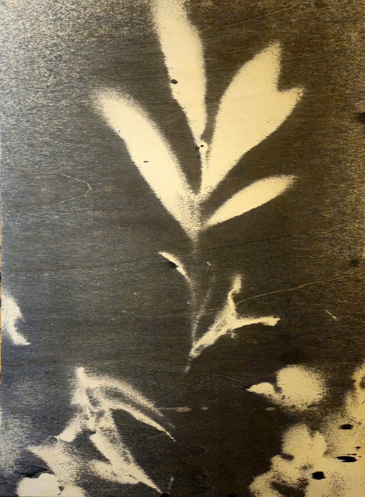 Stark Botanical Silhouette by Stefano Mazzolini