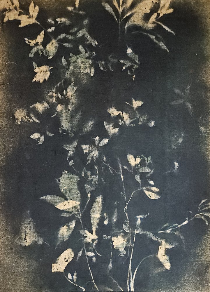 Vintage Botanical Leaves by Stefano Mazzolini