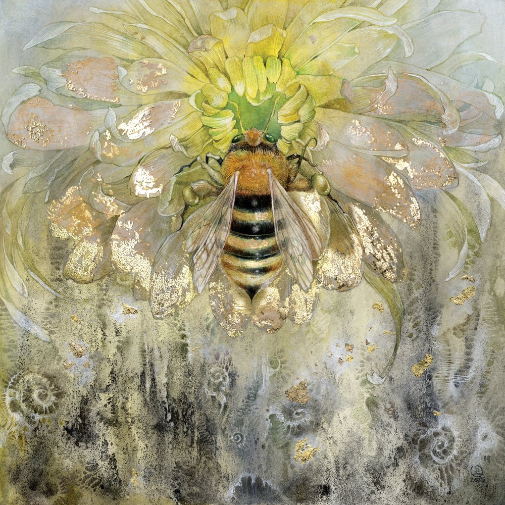 Golden Bee on Bloom by Stephanie Law