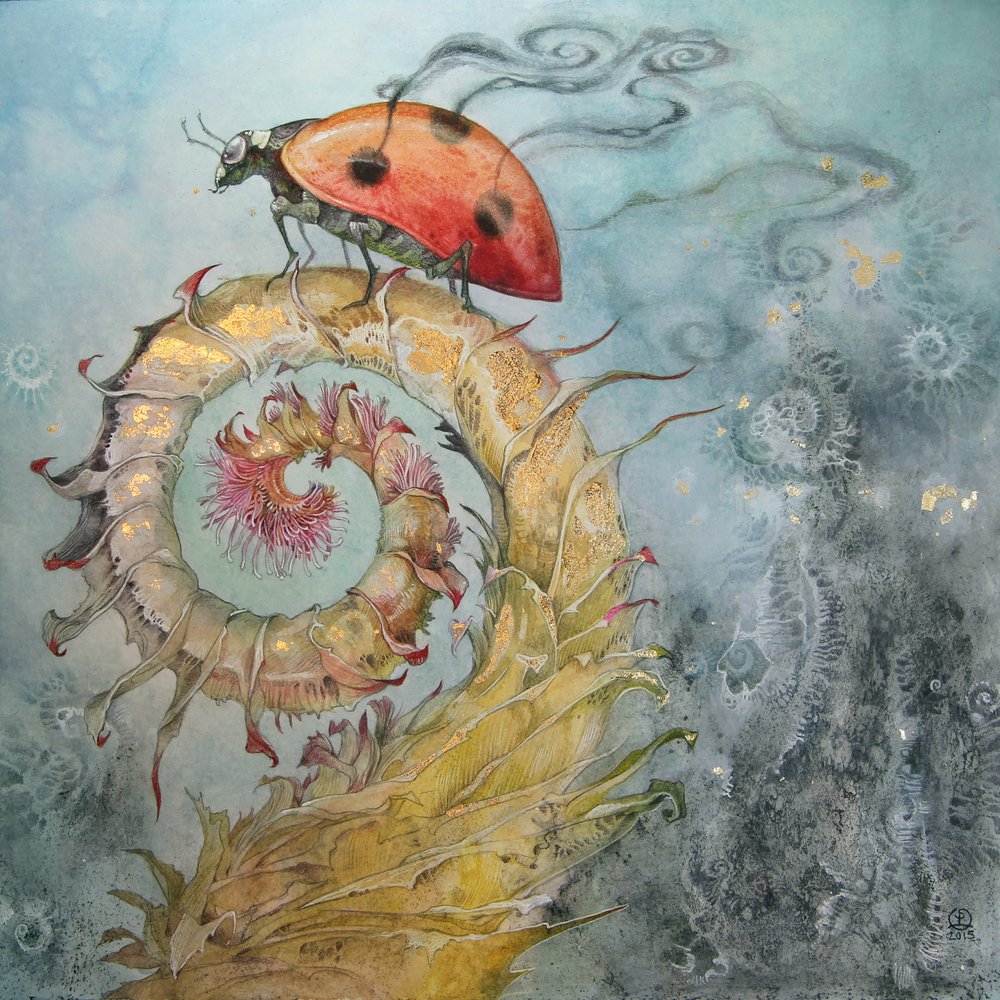 Ladybug